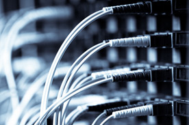 Vocalis service photos